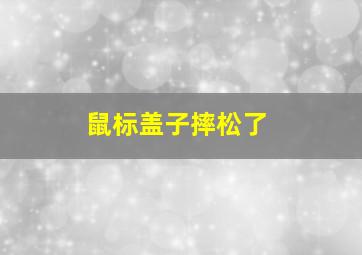 鼠标盖子摔松了