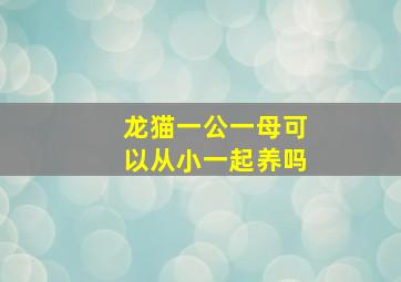 龙猫一公一母可以从小一起养吗