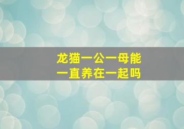 龙猫一公一母能一直养在一起吗