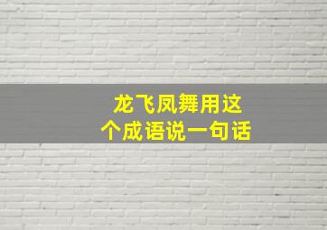 龙飞凤舞用这个成语说一句话