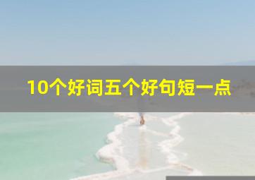 10个好词五个好句短一点