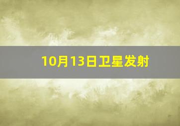 10月13日卫星发射