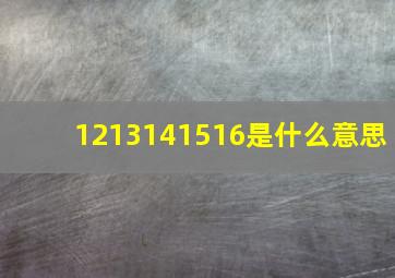 1213141516是什么意思