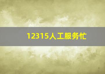 12315人工服务忙