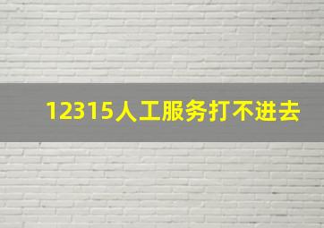 12315人工服务打不进去