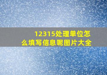 12315处理单位怎么填写信息呢图片大全