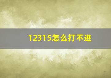 12315怎么打不进