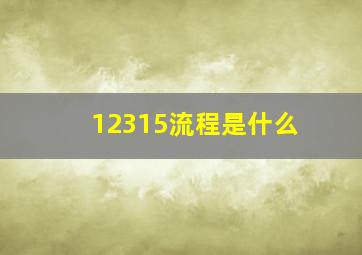 12315流程是什么