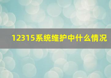 12315系统维护中什么情况