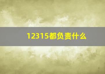 12315都负责什么