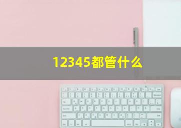 12345都管什么