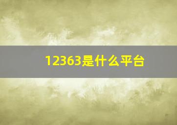 12363是什么平台