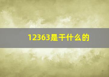 12363是干什么的