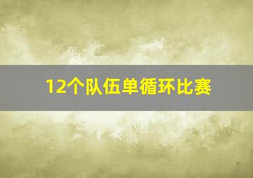 12个队伍单循环比赛