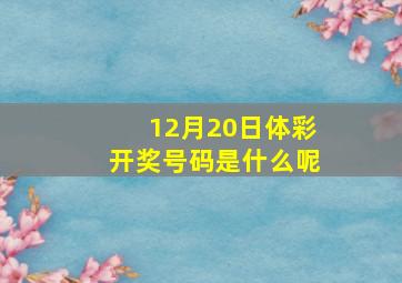 12月20日体彩开奖号码是什么呢