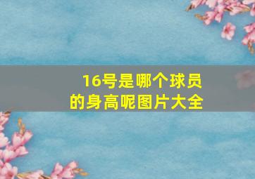 16号是哪个球员的身高呢图片大全