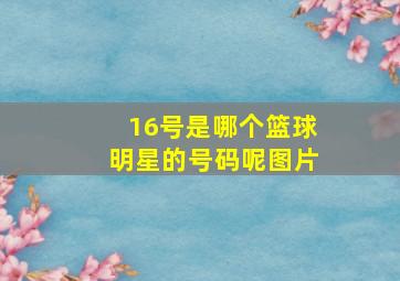 16号是哪个篮球明星的号码呢图片