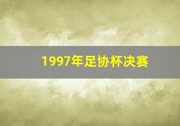 1997年足协杯决赛