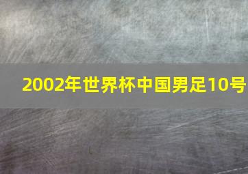 2002年世界杯中国男足10号