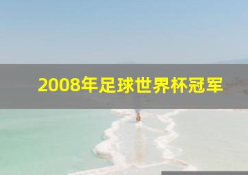 2008年足球世界杯冠军