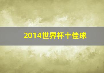 2014世界杯十佳球