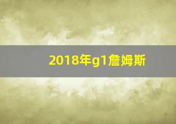 2018年g1詹姆斯