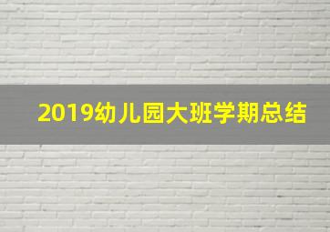 2019幼儿园大班学期总结