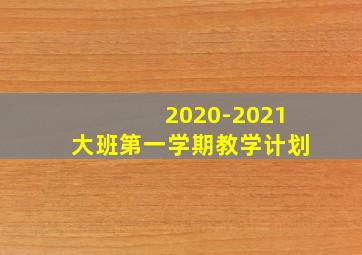 2020-2021大班第一学期教学计划