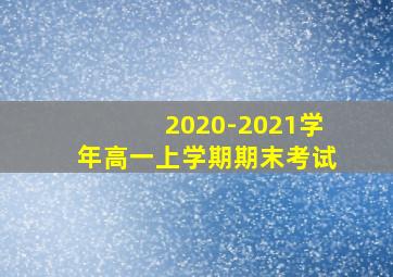 2020-2021学年高一上学期期末考试