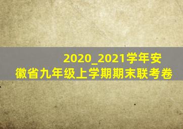 2020_2021学年安徽省九年级上学期期末联考卷