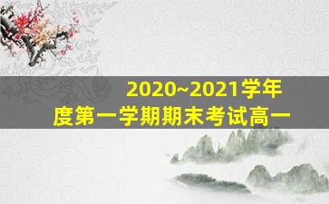 2020~2021学年度第一学期期末考试高一