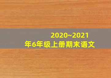 2020~2021年6年级上册期末语文