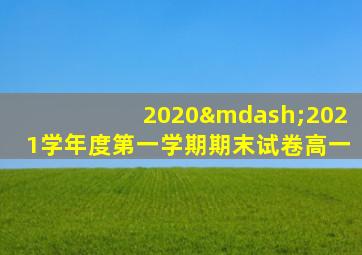 2020—2021学年度第一学期期末试卷高一