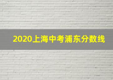 2020上海中考浦东分数线