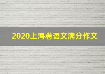 2020上海卷语文满分作文