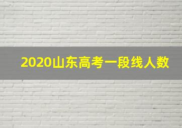 2020山东高考一段线人数