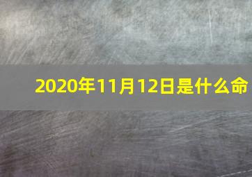 2020年11月12日是什么命