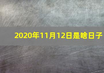 2020年11月12日是啥日子