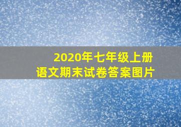 2020年七年级上册语文期末试卷答案图片