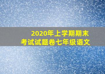 2020年上学期期末考试试题卷七年级语文