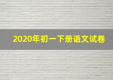 2020年初一下册语文试卷