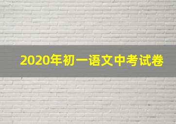 2020年初一语文中考试卷