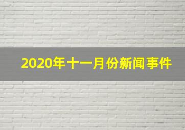 2020年十一月份新闻事件