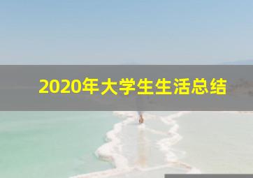 2020年大学生生活总结