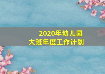 2020年幼儿园大班年度工作计划