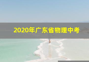 2020年广东省物理中考