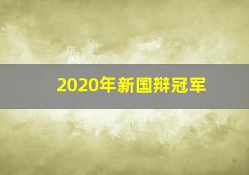 2020年新国辩冠军