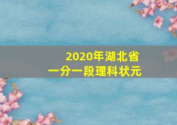 2020年湖北省一分一段理科状元