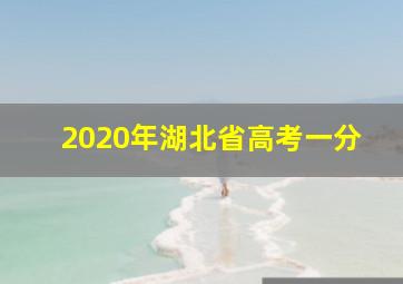 2020年湖北省高考一分