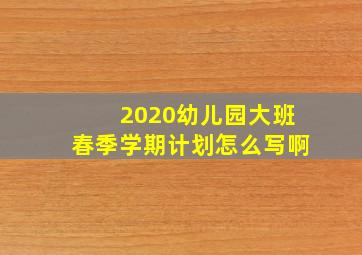 2020幼儿园大班春季学期计划怎么写啊